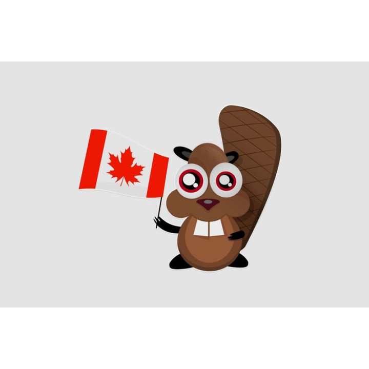 Happy Cartoon Beaver With Canadian Flag Sticker - DecalsHouse
