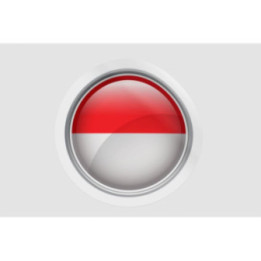 Indonesia Flag Bevel Style 2 - DecalsHouse