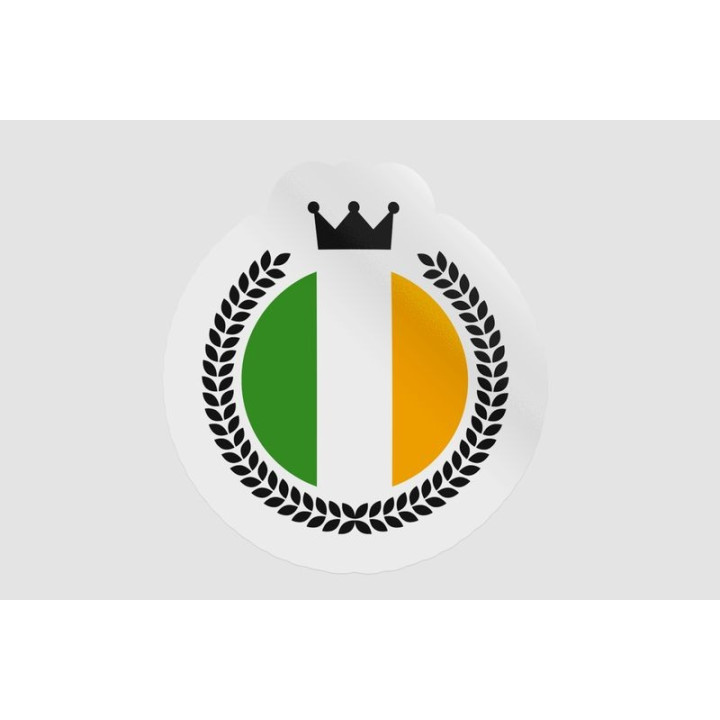Ireland Flag Style 6 - DecalsHouse