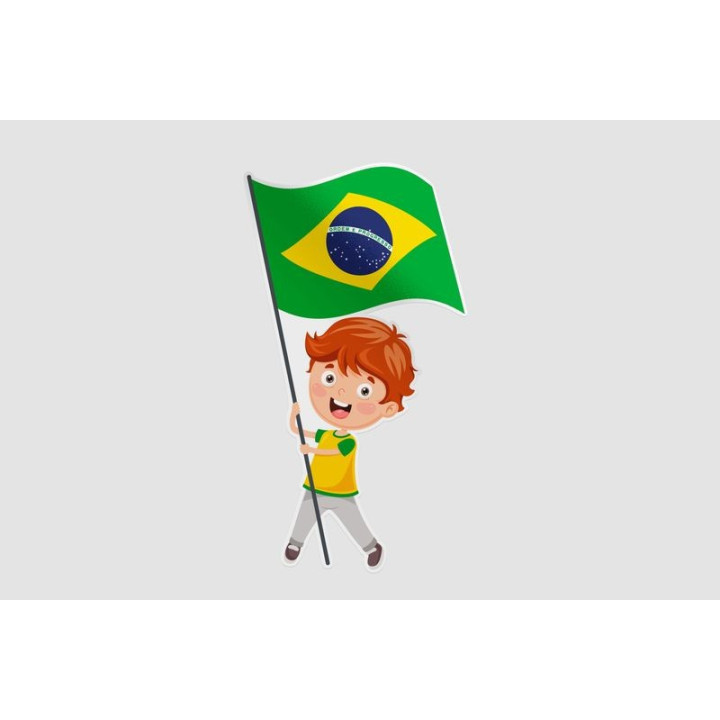 Kid Holding Brazil Flag Sticker - DecalsHouse