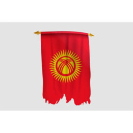 Kyrgyzstan Flag Style 14 Sticker - DecalsHouse