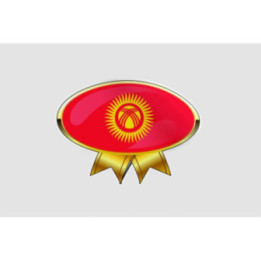 Kyrgyzstan Flag Style 17 Sticker - DecalsHouse