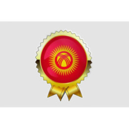 Kyrgyzstan Flag Style 18 Sticker - DecalsHouse