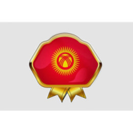 Kyrgyzstan Flag Style 23 Sticker - DecalsHouse