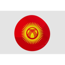 Kyrgyzstan Flag Style 4 Sticker - DecalsHouse