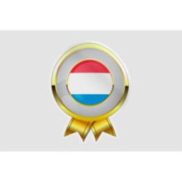 Luxembourg Flag Style 19 Sticker - DecalsHouse