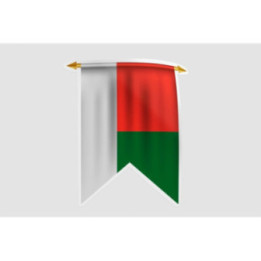 Madagascar Flag Sticker - DecalsHouse