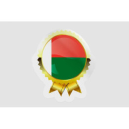 Madagascar Flag Style 19 Sticker - DecalsHouse