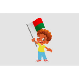 Madagascar Flag Style 22 Sticker - DecalsHouse