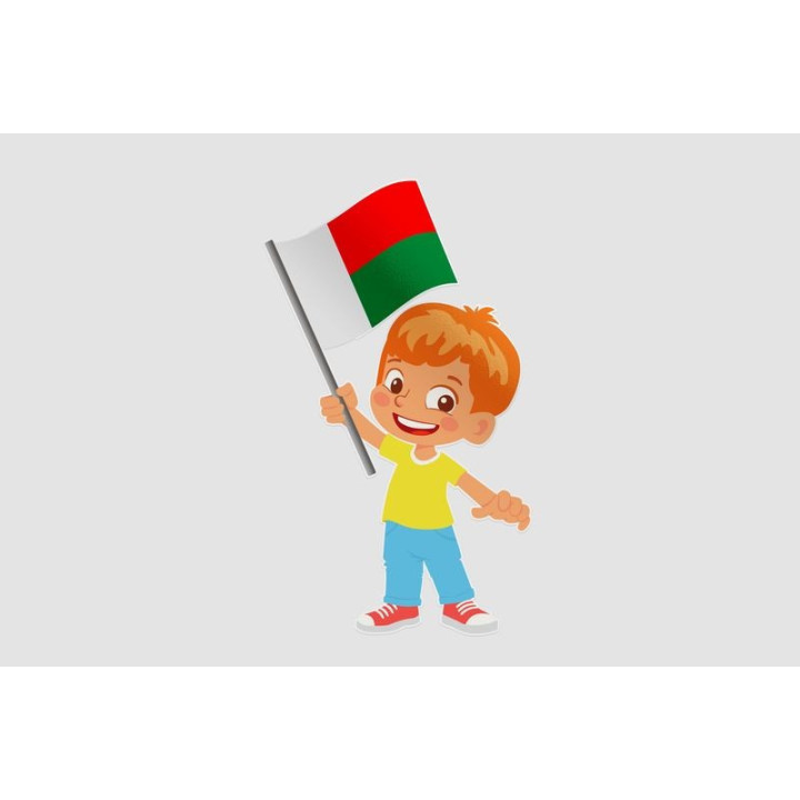 Madagascar Flag Style 23 Sticker - DecalsHouse