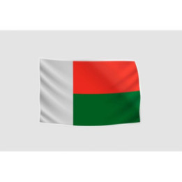 Madagascar Flag Style 24 Sticker - DecalsHouse