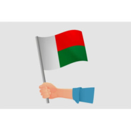 Madagascar Flag Style 27 Sticker - DecalsHouse