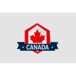 Made In Canada Label Style 16 Sticker - DecalsHouse