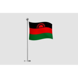 Malawi Flag Sticker - DecalsHouse