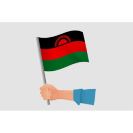 Malawi Flag Style 19 Sticker - DecalsHouse