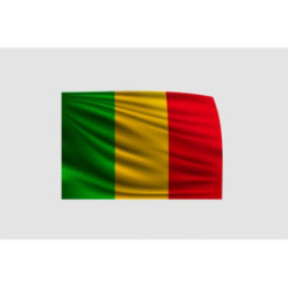 Mali Flag Style 5 Sticker - DecalsHouse