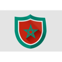 Maroc Flag Style 15 Sticker - DecalsHouse