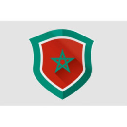 Maroc Flag Style 24 Sticker - DecalsHouse