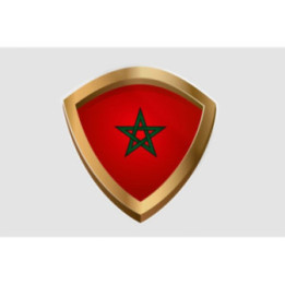 Maroc Flag Style 26 Sticker - DecalsHouse