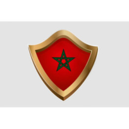 Maroc Flag Style 27 Sticker - DecalsHouse