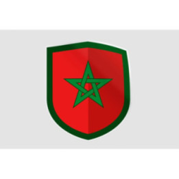 Maroc Flag Style 7 Sticker - DecalsHouse