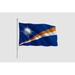Marshall Islands Flag Style 17 Sticker - DecalsHouse