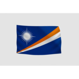 Marshall Islands Flag Style 18 Sticker - DecalsHouse