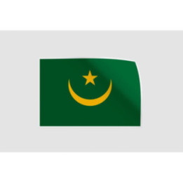 Mauritania Flag Style 4 Sticker - DecalsHouse