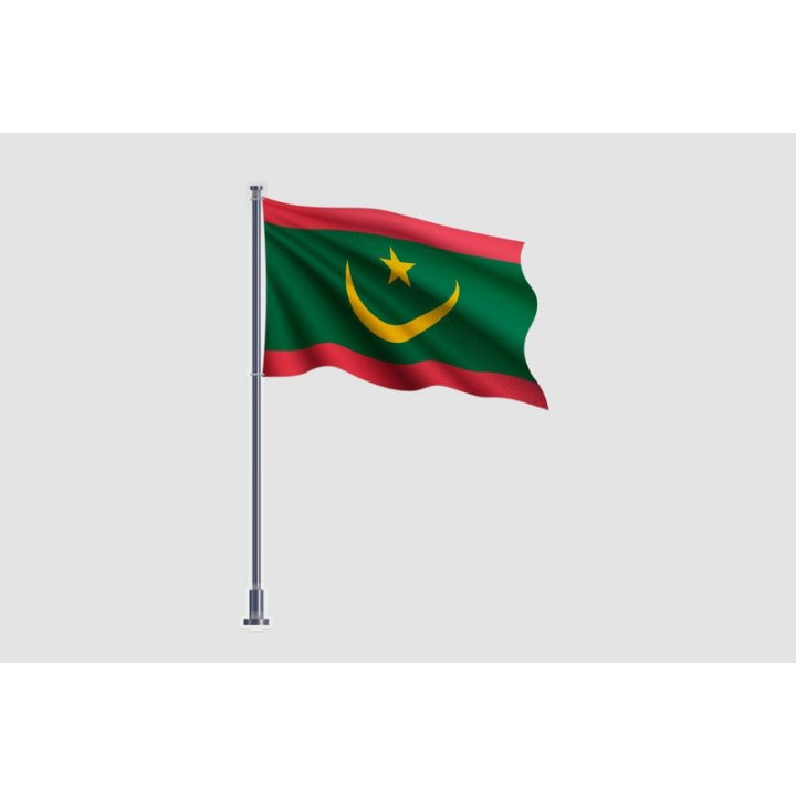 Mauritania Flag Style 5 Sticker - DecalsHouse