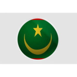 Mauritania Flag Style 8 Sticker - DecalsHouse