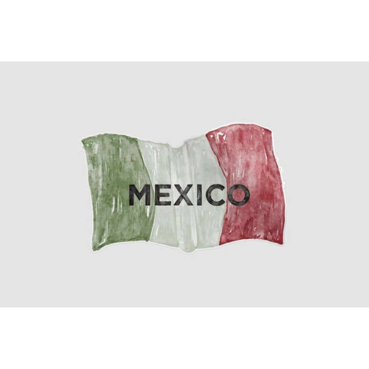 Mexico Flag Style 15 Sticker - DecalsHouse