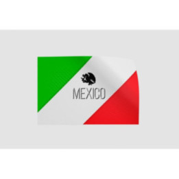 Mexico Flag Style 17 Sticker - DecalsHouse