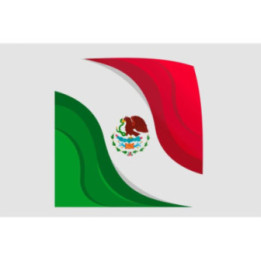 Mexico Flag Style 19 Sticker - DecalsHouse
