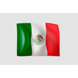 Mexico Flag Style 2 Sticker - DecalsHouse