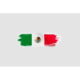 Mexico Flag Style 21 Sticker - DecalsHouse