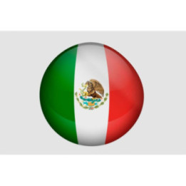 Mexico Flag Style 3 Sticker - DecalsHouse
