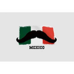 Mexico Flag Style 31 Sticker - DecalsHouse