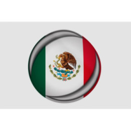 Mexico Flag Style 40 Sticker - DecalsHouse
