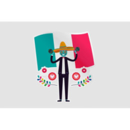 Mexico Flag Style 66 Sticker - DecalsHouse