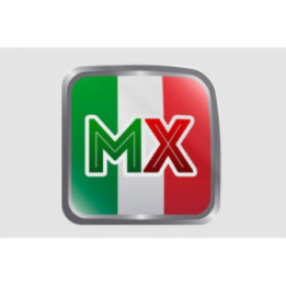 Mexico Flag Style 76 Sticker - DecalsHouse