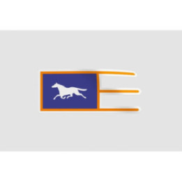 Mongol Flag Style 13 Sticker - DecalsHouse