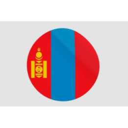 Mongol Flag Style 20 Sticker - DecalsHouse