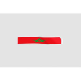 Morocco Flag Style 5 Sticker - DecalsHouse