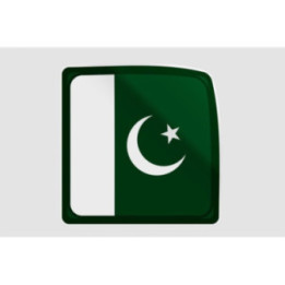 Pakistan Flag Sticker - DecalsHouse