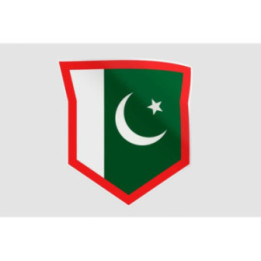 Pakistan Flag Style 100 Sticker - DecalsHouse