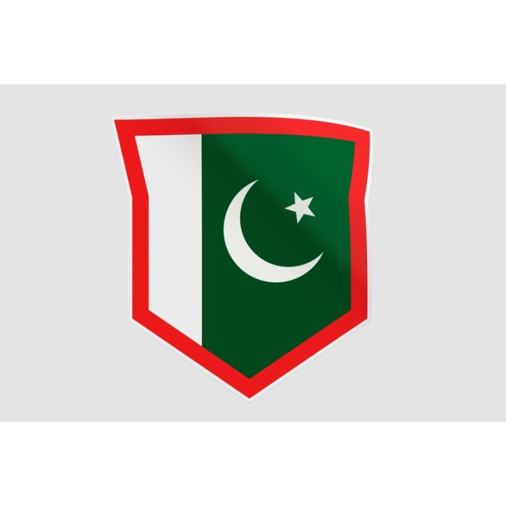 Pakistan Flag Style 100 Sticker - DecalsHouse