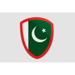 Pakistan Flag Style 101 Sticker - DecalsHouse