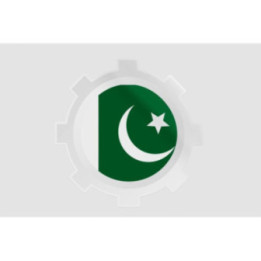Pakistan Flag Style 14 Sticker - DecalsHouse