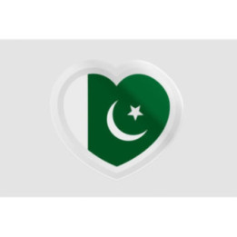 Pakistan Flag Style 16 Sticker - DecalsHouse
