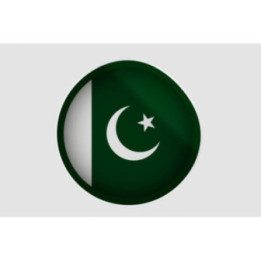 Pakistan Flag Style 2 Sticker - DecalsHouse